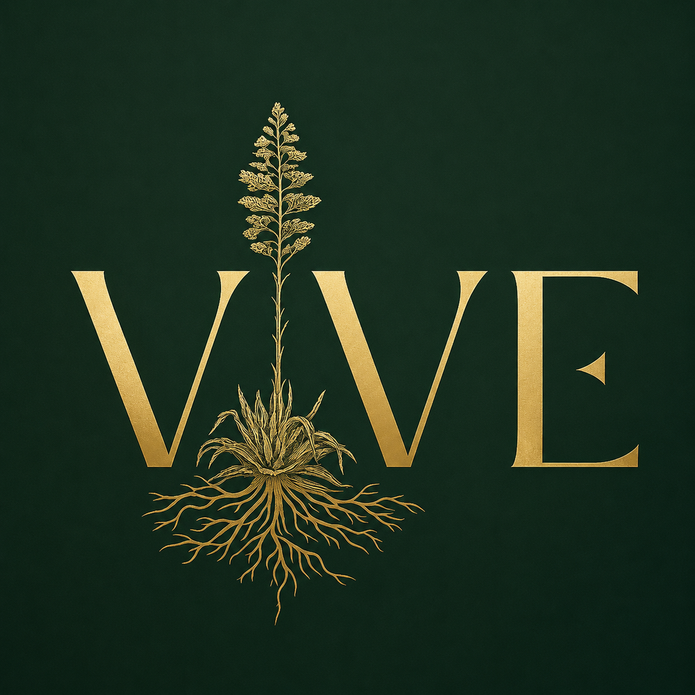VIVE Wellness project